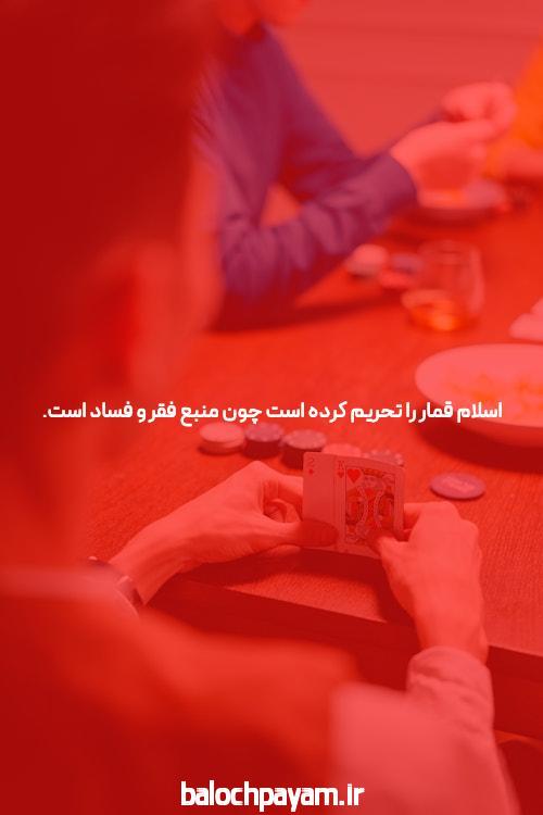 سایت شرط بندی تینی بت